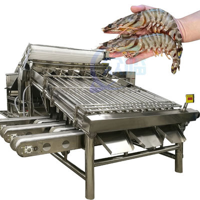 Bom preço Peixes eficientes que processam e máquina da seleção do tamanho e da especificação dos peixes da máquina de classificação on-line