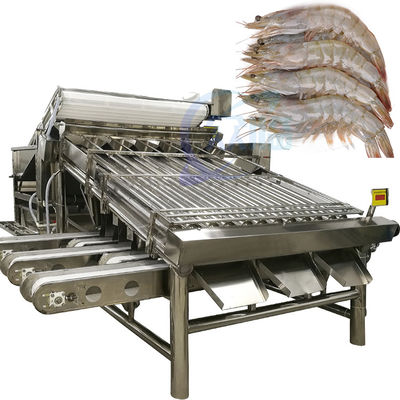 Máquina automática de triagem de camarão para descascar camarão lavagem de camarão fresco máquina de triagem de camarão