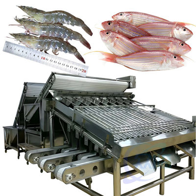 Máquina automática de triagem de camarão para descascar camarão lavagem de camarão fresco máquina de triagem de camarão