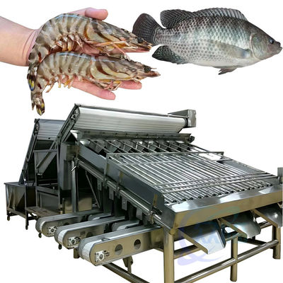 Máquina automática de triagem de camarão para descascar camarão lavagem de camarão fresco máquina de triagem de camarão