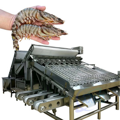 Bom preço Classificador automático de processamento de camarão de peixe rápido Classificador de tamanho de camarão de linha de produção de camarão máquina de triagem on-line