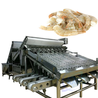 Máquina de processamento e triagem de camarões de aço inoxidável Máquina de triagem de frutos do mar
