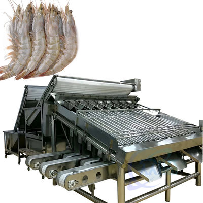 Bom preço Linha de produção de máquina de limpeza integrada de camarão e peixe Máquina de classificação de camarão de tambor grande personalizada on-line