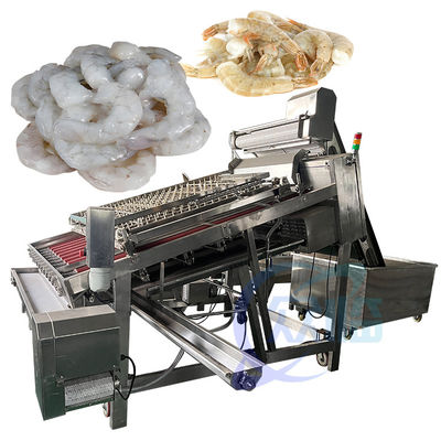 Bom preço Linha de produção de descascagem de camarão totalmente automática O material geral é 304 aço inoxidável on-line