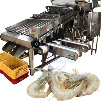 Bom preço Máquina de triagem de camarão inteligente de aço inoxidável 304 adequada para a indústria de produtos do mar on-line