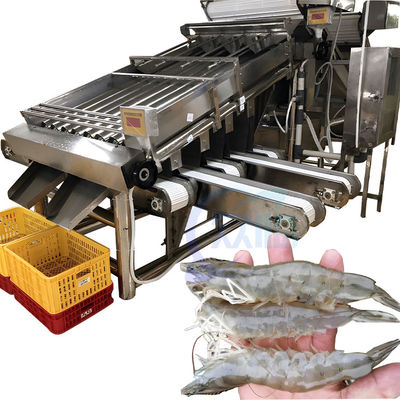 Bom preço Separador de camarão Máquina de triagem de camarão de alta precisão para processamento de frutos do mar on-line