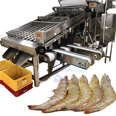 Máquina de triagem de peixes e camarões para transformação de peixes e camarões