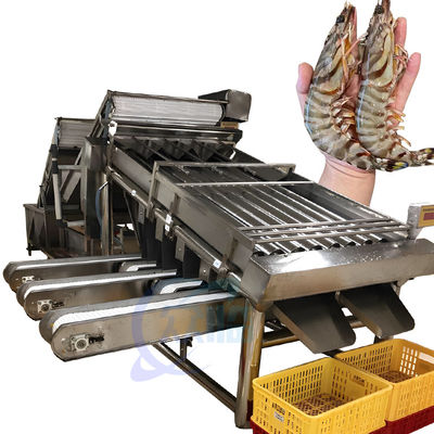 Bom preço Equipamento da máquina de classificação de camarão Máquina de classificação de peixes de balam de sardinha de vários estágios on-line