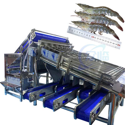 Bom preço Máquina de triagem de mariscos Máquina de limpeza e triagem de camarões, trituração automática de cascas de camarão, descascagem e desfilamento on-line