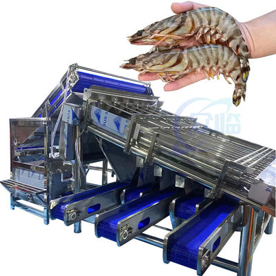 Bom preço Equipamento de frutos do mar Máquina de descascar camarão Máquina de processamento de casca de camarão Roller de aço inoxidável Máquina de classificação rápida de camarão on-line