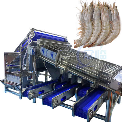Bom preço Máquina de classificação e classificação de peixes e camarões totalmente automática e multifuncional Máquina de classificação rápida de camarões personalizada on-line