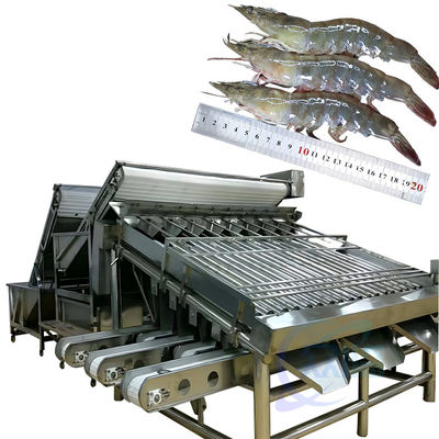 Bom preço Máquina de processamento para classificação de frutos do mar e camarões, máquina de classificação de camarões e peixes, máquina de classificação de lagartos e camarões on-line