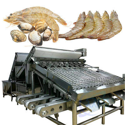 Bom preço Máquina automática de triagem de peixes para linha de processamento de alimentos Máquina de limpeza e triagem de camarão on-line