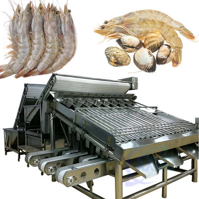 Bom preço Máquina de triagem de camarão para limpeza e processamento de escamas de peixe on-line