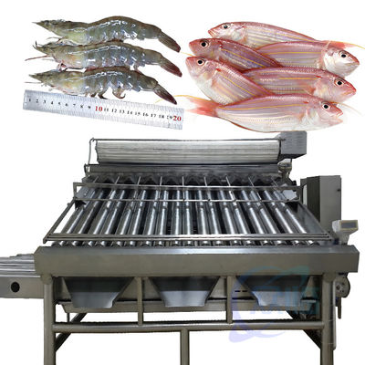 Bom preço Máquina automática de classificação de peixes, máquina de classificação de tamanhos de peixes on-line