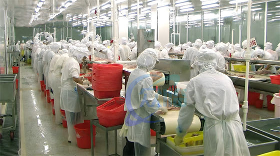 Bom preço Muitos Casos Venda Quente Máquina de Descascagem de Tilapia 0,75KW Descascador de Tilapia Alta Estabilidade on-line