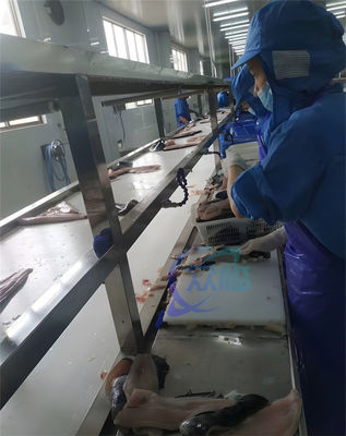 Bom preço Máquina de Esfoliação de Tilapia de aço inoxidável profissional 304 on-line