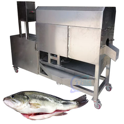 Linha de produção de processamento de peixe totalmente automática Limpeza de viscerais de carpas, carpas, mandarinas, percas e outros peixes