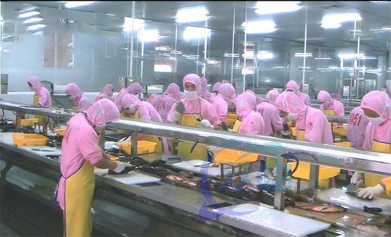 Bom preço Máquina de processamento de camarão e peixe Plataforma de fluxo de processamento para várias pessoas on-line