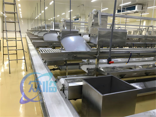 Bom preço 1506kg Linha de produção de frutos do mar Bancos de trabalho personalizados de aço inoxidável Linha de processamento de peixe e camarão Faixa transportadora on-line