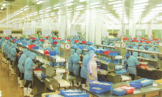 Bom preço Customização Estrutura de aço inoxidável Processamento de alimentos Linha de montagem Cinturão transportador transportador de processamento de peixe on-line
