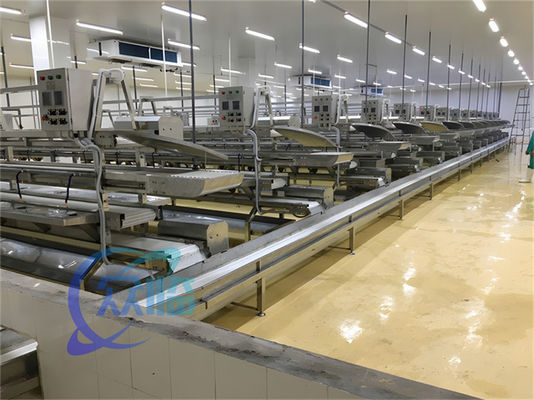 Bom preço 3.10KW Linha de processamento de transporte de peixe Linha de produção de descascagem de peixe on-line