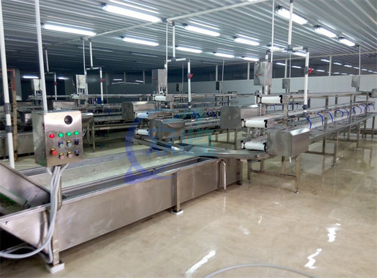 2.22KW SS máquina de lavar para a linha de produção de processamento de frutas e vegetais alface repolho máquina de lavar a vapor