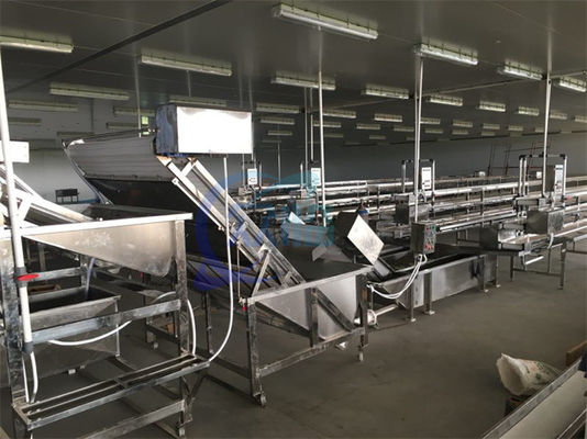 Bom preço Máquina de limpeza de bolhas totalmente automática de camarão Máquina de limpeza de vegetais e frutas industrializados de alta eficiência on-line