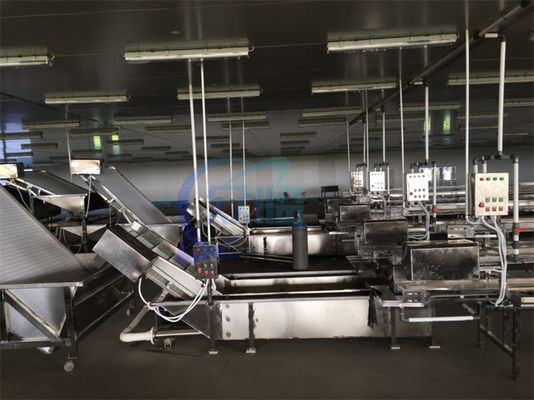 Máquina automática de lavar frutos do mar, peixes, bolhas, máquina de lavar camarão, descongelar, correia transportadora