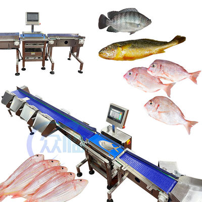 Bom preço Máquina de classificação de peixes por computador Máquina de dimensionamento de peixes para tilapia Basa on-line