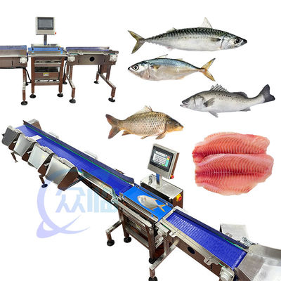 Máquina de classificação de peixe de alta qualidade Máquina de dimensionamento de peixe Potência 1,3KW Foco classificação de peixe