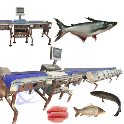 Bom preço Máquina de classificação de peixe de alta precisão SUS 304 classificador de peixe durável classificador automático de peixe on-line
