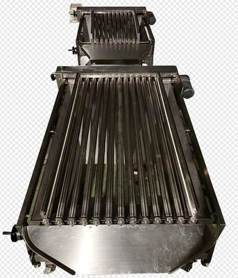 Quatro modelos de máquina automática de classificação de peixe e dimensionamento de peixes pequenos com alta estabilidade