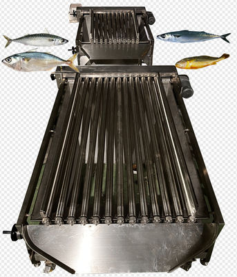 Quatro estilos de linha automática de classificação de cavala e equipamento de classificação de peixes pelágicos