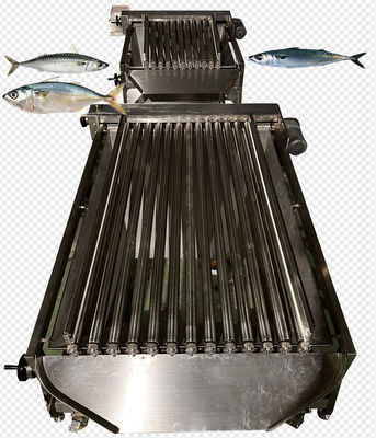 Bom preço Quatro estilos linha automática de classificação de peixe e máquina de remoção de cavala on-line