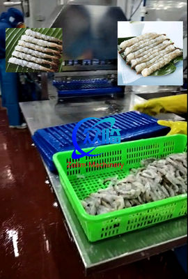 Bom preço Máquina automática de alongamento de camarão Tempura, máquina NOBASHI, linha de alongamento de camarão on-line