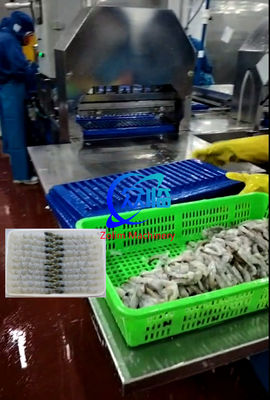 Bom preço 100 peças de bandeja Máquina automática NOBASHI E Tempura camarão máquina de alongamento on-line