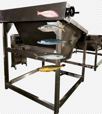 Quatro estilos Linha automática de triagem de peixe e linha de dimensionamento de cavala com 5-10T / h