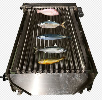 Bom preço Máquina automática de tamanho de peixe de alta velocidade para classificação de muitos tipos de peixes do oceano on-line
