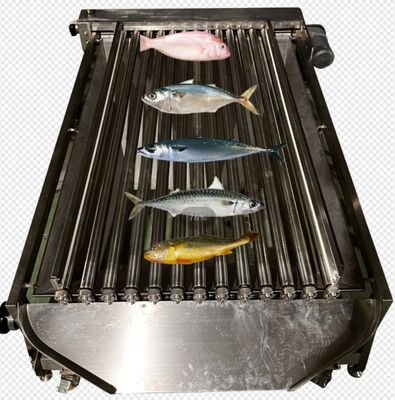 Capacidade 5-10T/H Máquina de classificação automática de peixes, dimensionamento de peixes pequenos e classificação do oceano