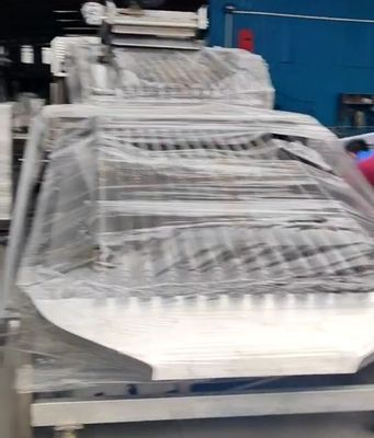 Equipamento de classificação de peixes de controle PLC personalizado para classificação de peixes pequenos com automático