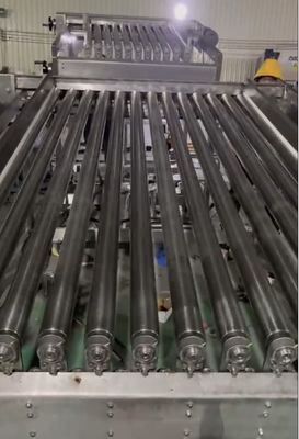 Máquina de classificação de peixes de sardinha mais estável, para classificar outros peixes pequenos de grande capacidade