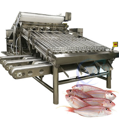 Bom preço Máquina de classificação de peixes de alta capacidade, rolo de peixes, 4,9kw, 2 t/h, linha de classificação de peixes, equipamento de dimensionamento de peixes zolim on-line