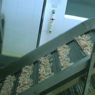 Bom preço Equipamento automático de instalação de processamento de peixe Multifunção estável on-line