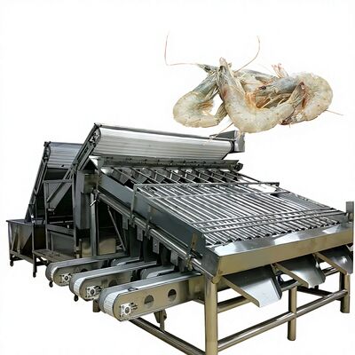 Bom preço SUS304 Máquina prática de classificação de camarão, classificador de camarão anticorrosivo Máquina de tamanho de camarão de alta capacidade on-line