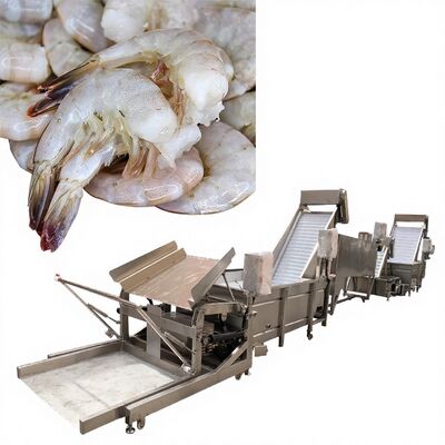 Bom preço Máquina prática de remoção de cabeça de camarão Zolim 3200x630x1600mm Sistema de descabeçamento automático de camarão multiscene 1000-1500kg 380V on-line
