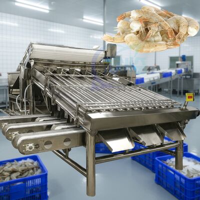 Bom preço Máquina de classificação de camarão industrial para processamento de camarão Máquina de classificação de camarão à prova d'água Máquina automática de dimensionamento de camarão on-line