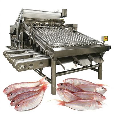 Bom preço Máquina de classificação de peixe e máquina de especificação de peixe 1000kg-1200kg on-line