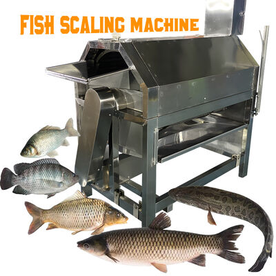 Bom preço Equipamento de processamento de peixe de aço inoxidável Máquina de raspagem de escamas de peixe Equipamento de corte de escamas de peixe Máquina elétrica de desescamação on-line