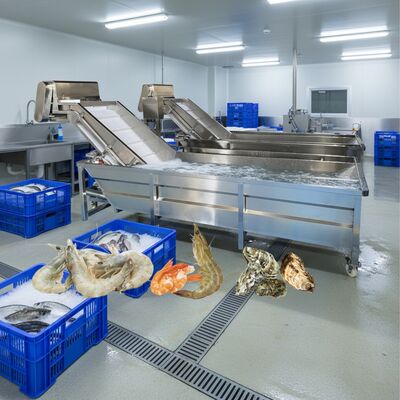 Bom preço Máquina de lavar bolhas Zolim para frutos do mar Máquina de limpeza de peixe 2.2kw Máquina de lavar camarão inteligente para fábrica de processamento de frutos do mar on-line